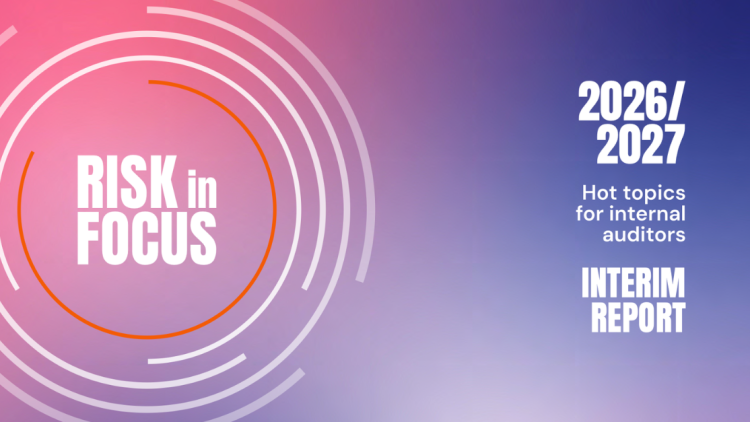 Risk in Focus 2026/27: Interim Findings