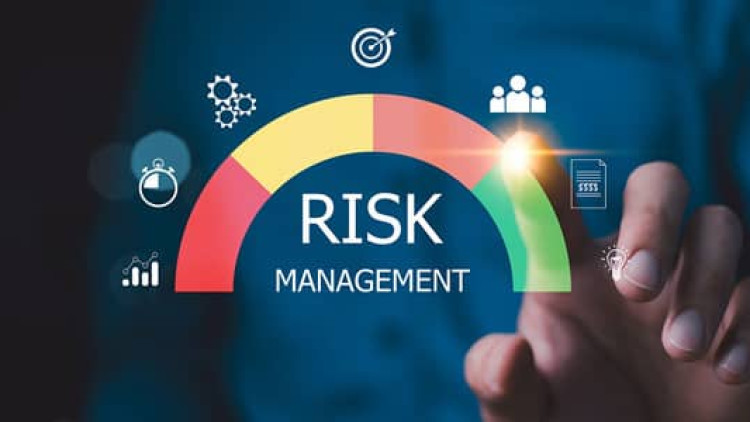 Role of the Internal Audit Function in Enterprise Risk Management