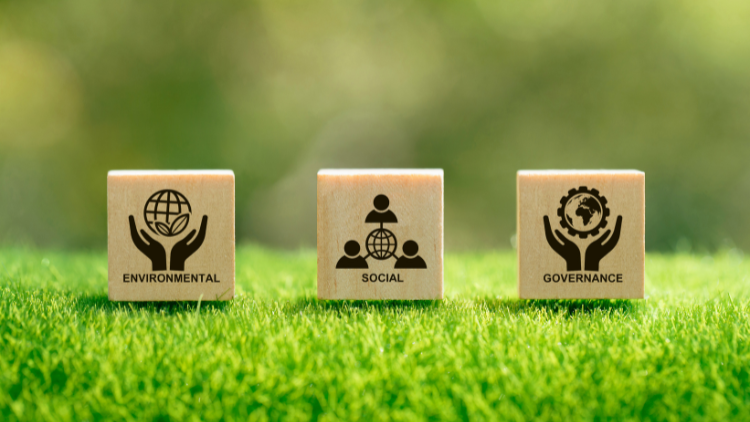 ESG CERTIFICATE : Internal auditing for sustainable organizations: virtual sessions - June