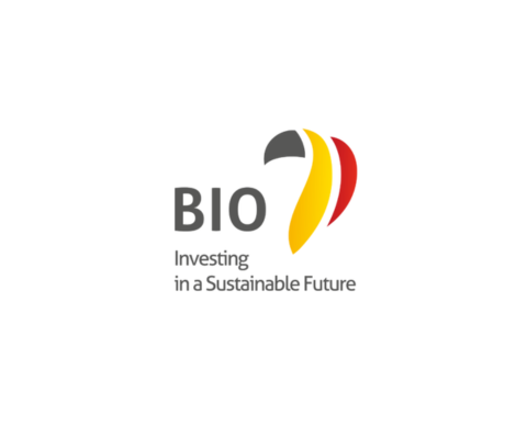Senior Internal Auditor