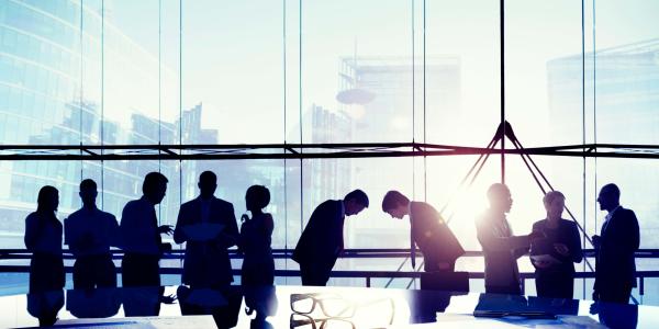 Trusted executive peer network